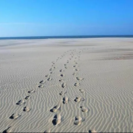 Charming Near Beach, Cleaning Included De Panne
