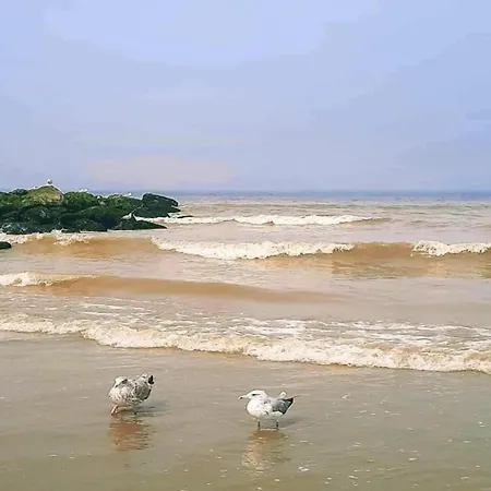 Charming Near Beach, Cleaning Included Apartment *