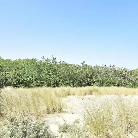 Charming Near Beach, Cleaning Included Apartment